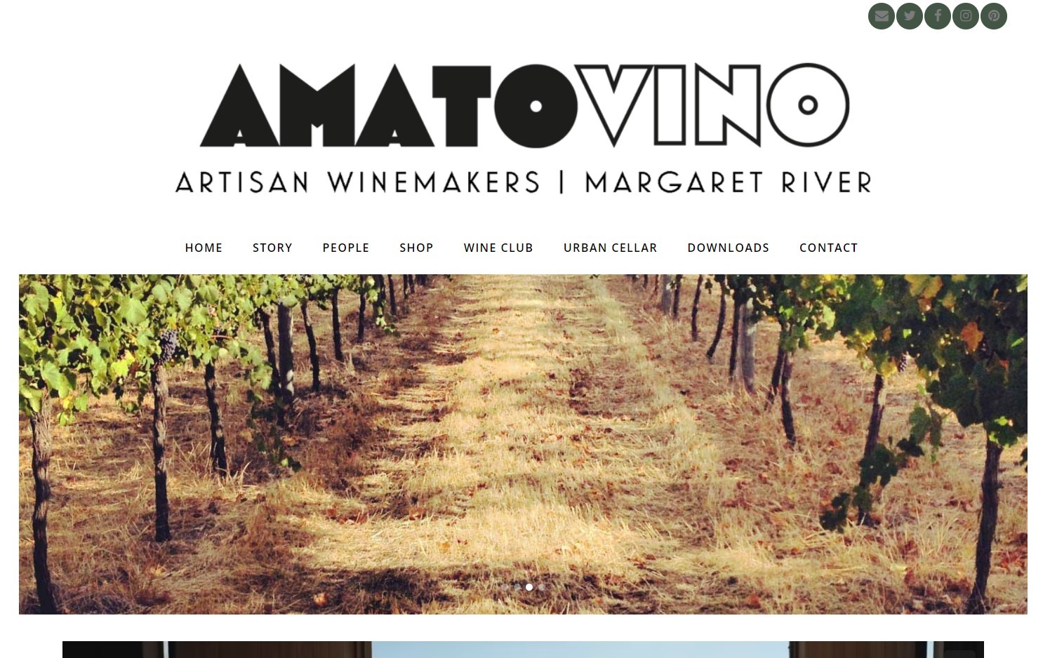 Amatovino Project Slide 1