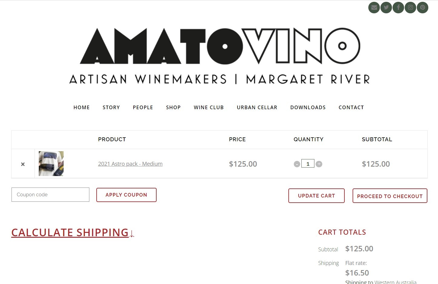 Amatovino Project Slide 3